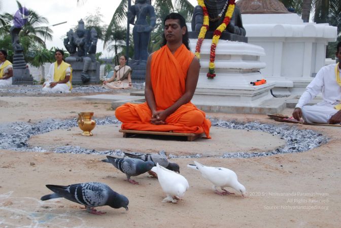 20100708 Photo 1119 1HfZsLPQKeF9wfEJZNNhBv02gmC5Rp1wm.JPG