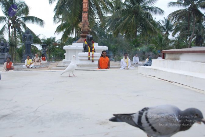 20100708 Photo 1158 1l 4kTBhsjZojrkBovYOW9C9K61umeMe3.JPG