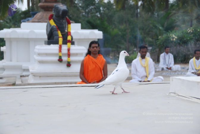 20100708 Photo 1159 16YP8nJpv1FUg8DZgAoxDxMqNtuGb21t .JPG