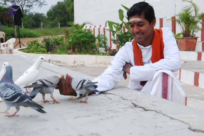 20100708 Photo 1171 1hbfuZvl9oI1w5dZPplmtYXdqG7dTJWBN.JPG