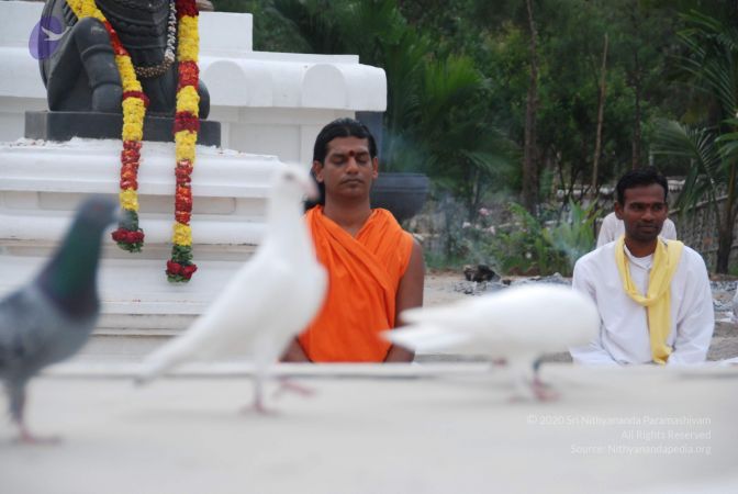 20100708 Photo 1177 1hj1pHUB2834OkRBKarhaDRcdFcCwtBqB.JPG