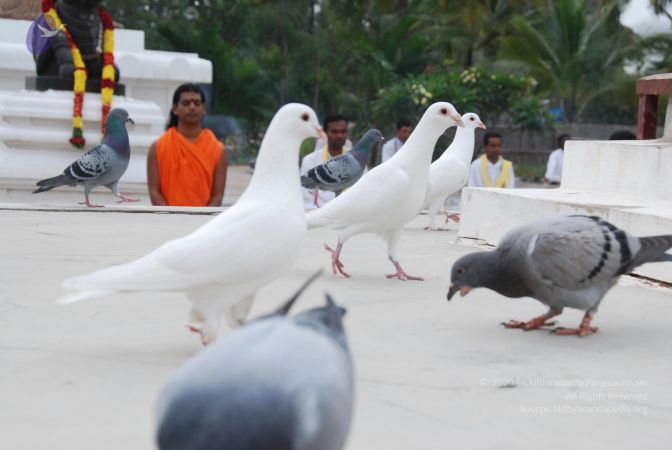 20100708 Photo 1179 1qsQagnx2sNzghcqZnR7grOI9LZKH2Ug-.JPG