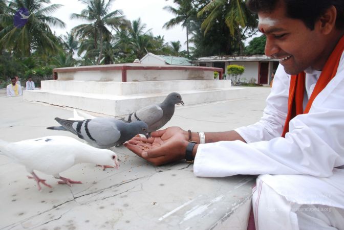 20100708 Photo 1190 1FrVnXBwzRT4xJk5v-i37vRIo0rzBH1z1.JPG