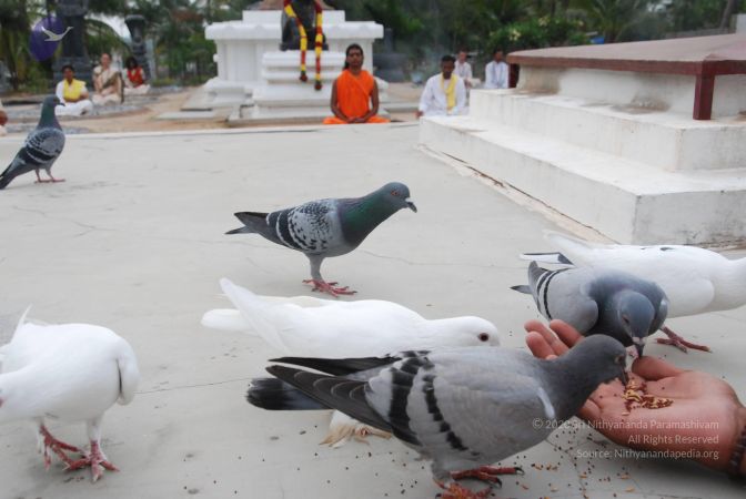 20100708 Photo 1193 10z2mwbJgOe4hhYktMtgQ6~UJcgNWiwx.JPG