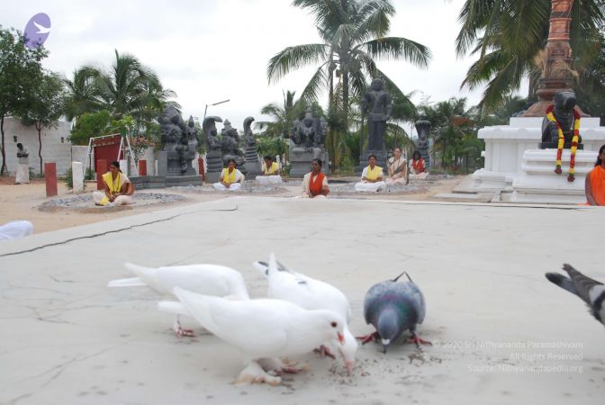 20100708 Photo 1199 1n7VqDGbqX 3W6nuWQgNDOYFqz23sefWs.JPG