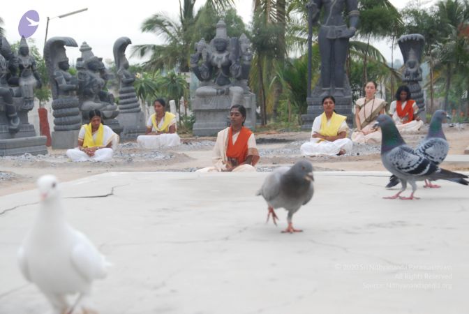 20100708 Photo 1201 1duWaPsKgCnGXJ-zIjI0-aVFKRwSPCEJe.JPG