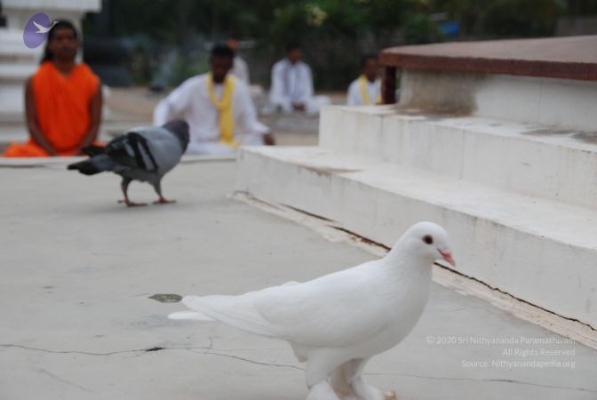 20100708 Photo 1216 1kT8M8rvqmBV6PJJC2v820UImU1KZ3x1p.JPG