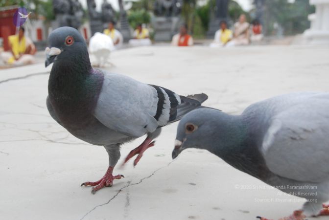 20100708 Photo 1221 1OBMyVQ6UBak45Sqld-aYOGoVEn5eLNFQ.JPG