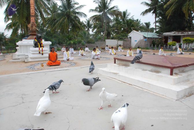 20100708 Photo 1231 100mEXjxPYkqx84xkn r780H720EjrwFR.JPG