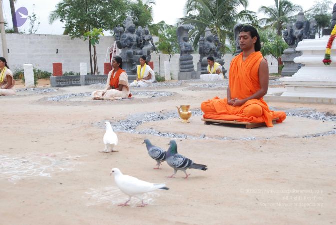 20100708 Photo 1243 1oDcke6x7vLUcsgXHPNdxIEb-05BQ9Bbq.JPG