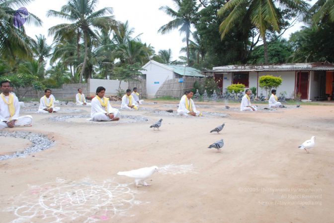 20100708 Photo 1252 112r5QJVQP87-zXitH2vLNS-xR2vj2woz.JPG