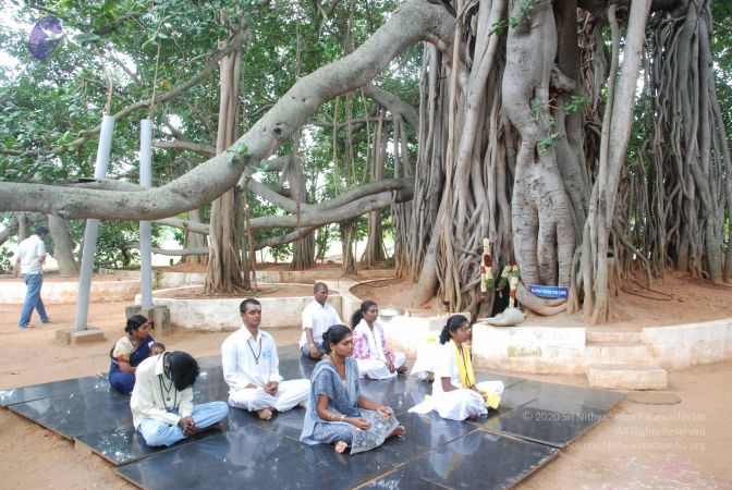 20100708 Photo 1390 1dkaen24Y2CIXdGHtgFfVUCwtx0AJlgSW.JPG