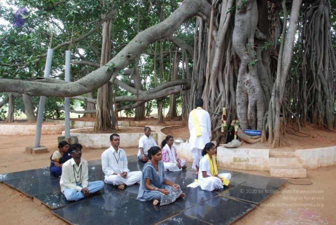 20100708 Photo 1391 1kY6jzzCGqr0VATBEWnnPtxcox5vW 8VH.JPG