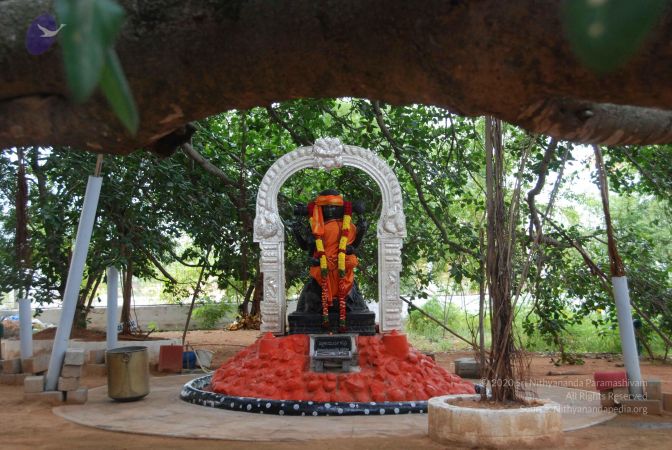 20100708 Photo 1478 1Mo1BZiqIQiY7MJRL0a5BPuI59MdGk85Q.JPG