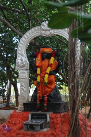 20100708 Photo 1487 1BlQMZoxoqCsBTRemEdkKchpRuXl6z-7d.JPG