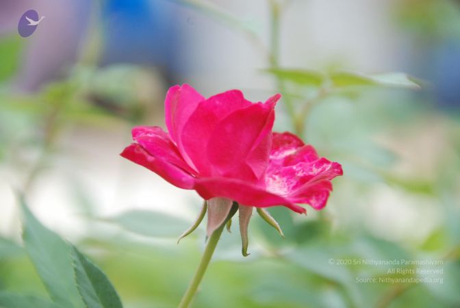 20100708 Photo 1761 1XKk6TqsOqCYldXXkja3merKfNqsJMNQc.JPG