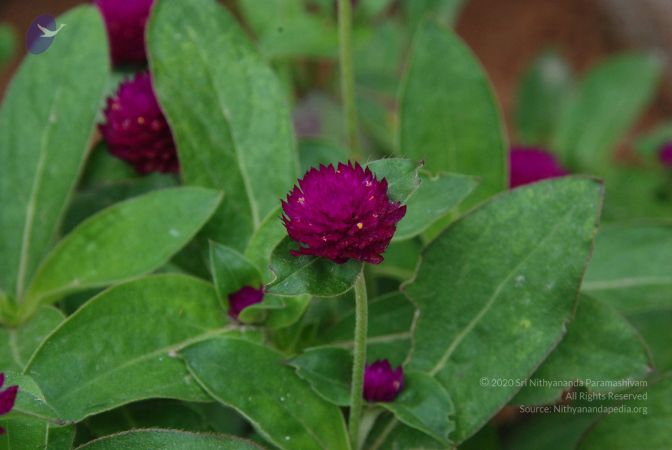 20100708 Photo 1777 1jKGkV6bZUrmpaq3 w3iYoLRVZV40cK-p.JPG