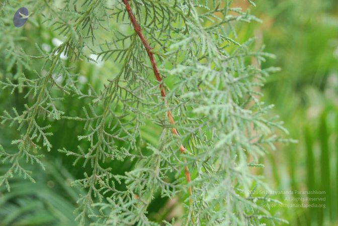 20100708 Photo 1786 1OWRQPIlEZA24XP4hZ8b9ntPpgcsepCQp.JPG