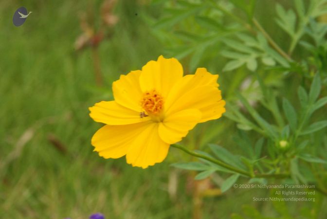 20100708 Photo 1804 1xIu93dPOOri9DCW9gDNjxPpfufh w0 z.JPG