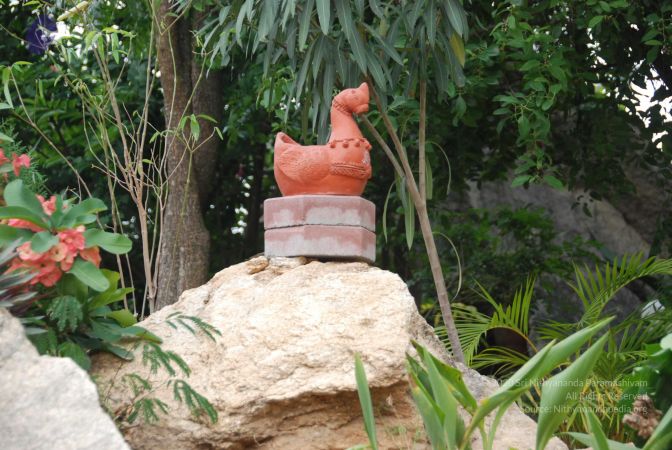 20100708 Photo 1810 1h4o2bb4iXWFKd v78reGJ2wzMzrYc80d.JPG