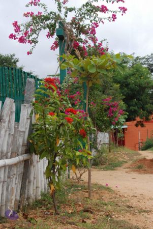 20100708 Photo 1846 161u5KT6IgiNnZZRZaZerSdAUUtfy2JrP.JPG