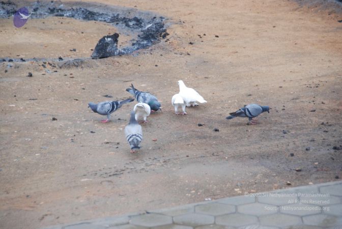 20100709 Photo 1005 1CuZzKgUt 49 SyNQDoT9IR cesY7PMSM.JPG