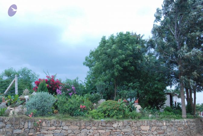 20100709 Photo 1285 1A6gYwBiH6DNjQ4 LwG9aSF fT9uC5WkZ.JPG