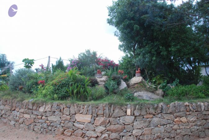 20100709 Photo 1290 1zZ1gxpR0AUi2sPK3AyRgjvGh148GbwC7.JPG