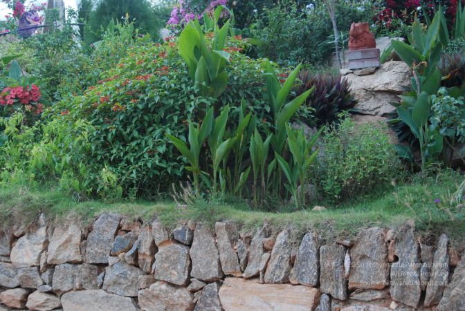 20100709 Photo 1291 1rVypz9FIIHMxFC9mqLUXK2E1VMCq8Fsv.JPG