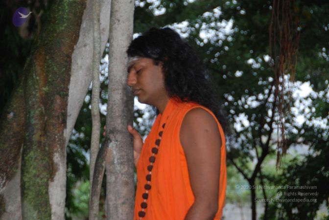 20100711 Photo 1038 1bsq3pRX8 cDOVvBl1zVl7LzcG3NQZrLI.JPG