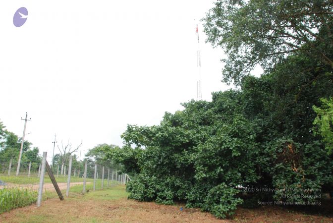 20100711 Photo 1367 1FZYkP9--CSdA3sHrZdHIaVodq03rtXI2.JPG