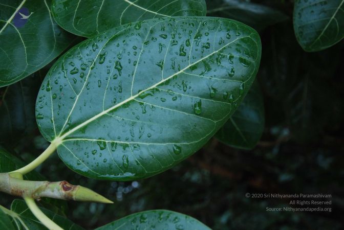 20100711 Photo 1382 13-KzcSWdga0EJMdBsIrwxBn 1wzrHEW9.JPG