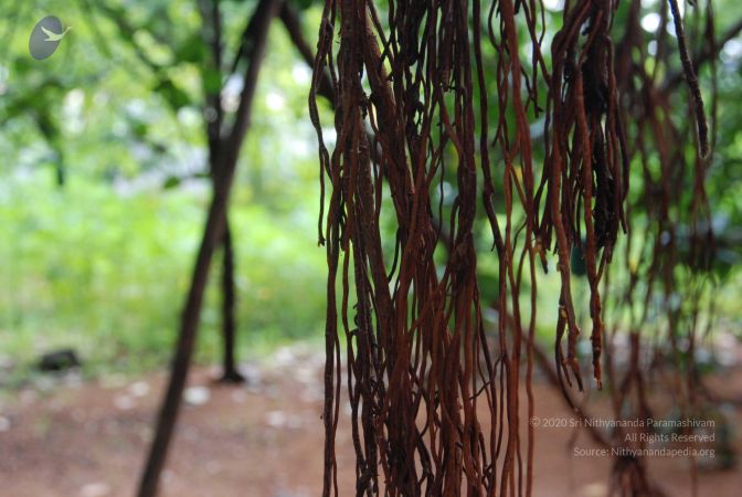 20100711 Photo 1434 108NAIk-eKUrsxbjrldrN3BoIJtEbaWnF.JPG