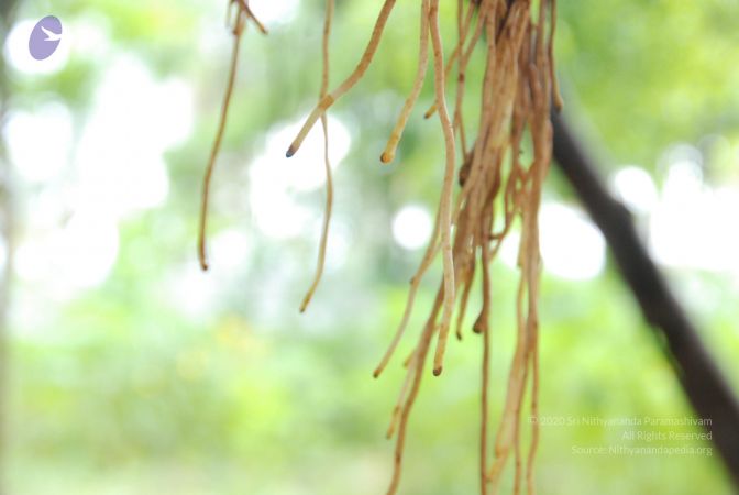 20100711 Photo 1435 16IPidkuEy0bQ6HKLSqcVRFD7gZprJkR0.JPG