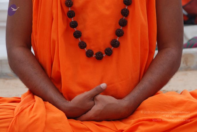 20100719 Photo 1031 1MxT0nFN6zwHxyOenauc0-M HNAfbEsmY.JPG