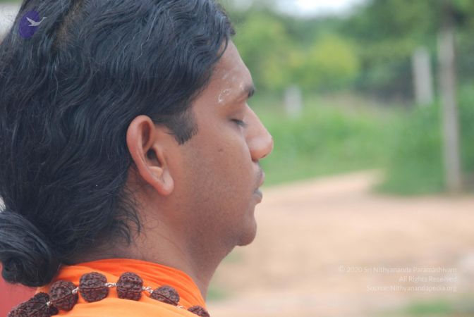 20100719 Photo 1062 1MhXrGk eQ3GTJGrd1nQqMMLyAQqU96NK.JPG