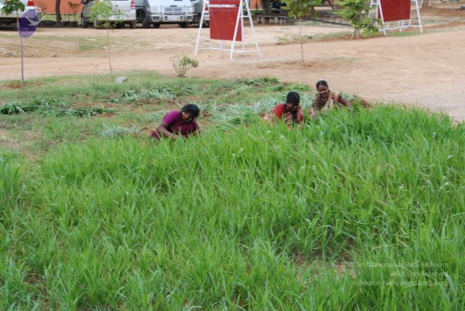 20100719 Photo 1258 1WY86grZijj4R2q1FPAkyG0MVre2AbVkJ.JPG