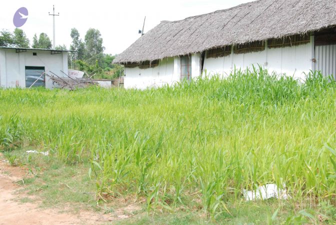 20100719 Photo 1284 1g0GjpUA56sfsCcL3D5MtNva3oGoR4P1Z.JPG