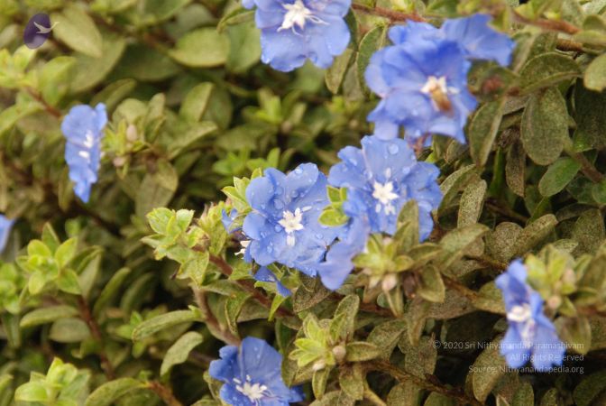 20100721 Photo 1105 1ZViMo7Nrdr9EHMFQ-OuvvZxIpSE7BsZq.JPG