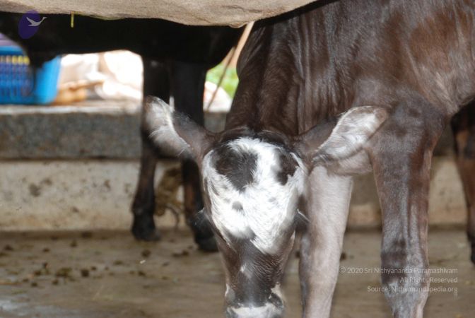 20100721 Photo 1219 1Tb9Vp06q5S7nin0lrkXFh4Qobt54d0IU.JPG