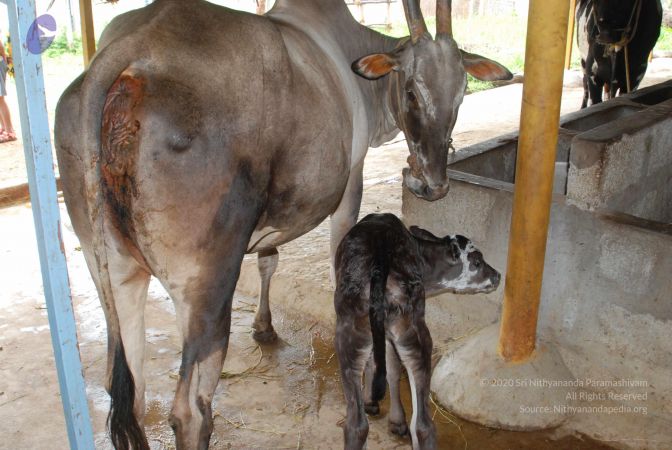 20100721 Photo 1222 1AEehbJ1nqT2sx8k MrN83OU9HQ1QmsL .JPG