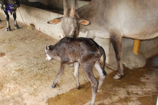 20100721 Photo 1225 10V7G6qp0LV2l2MjKh0f9RuNSi5mSp OI.JPG