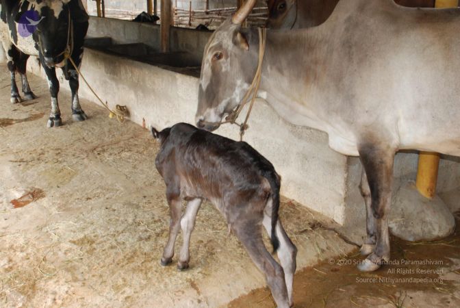 20100721 Photo 1226 1vS3uU18WaqD2LNpwlM56u7B-p7AwGoU7.JPG