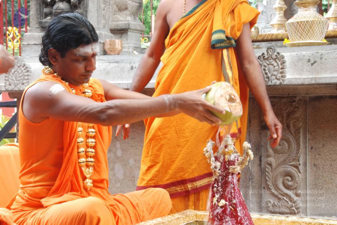 20100721 Photo 1713 1yR mRUWJHeEgAk96uUGjaY2Fd7osRys2.JPG