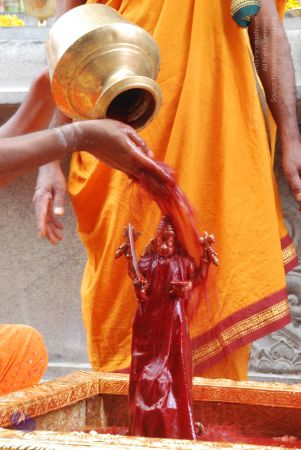 20100721 Photo 1763 1S84SP-mJ9aF9SD4WlVFkxdC ykURsvZQ.JPG