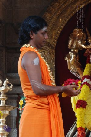 20100721 Photo 2291 1GENnoxldKDwlJRzLM56J3a0lHh8Umj0A.JPG