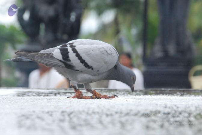 20100722 Photo 1083 1ddRObz59jgXJl9MrEJA-i5cigFoPR66f.JPG