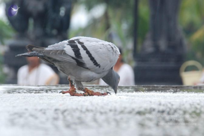 20100722 Photo 1084 1eHH7Q-BOOkA7IsIBEokcVzLEkmXPnq-g.JPG