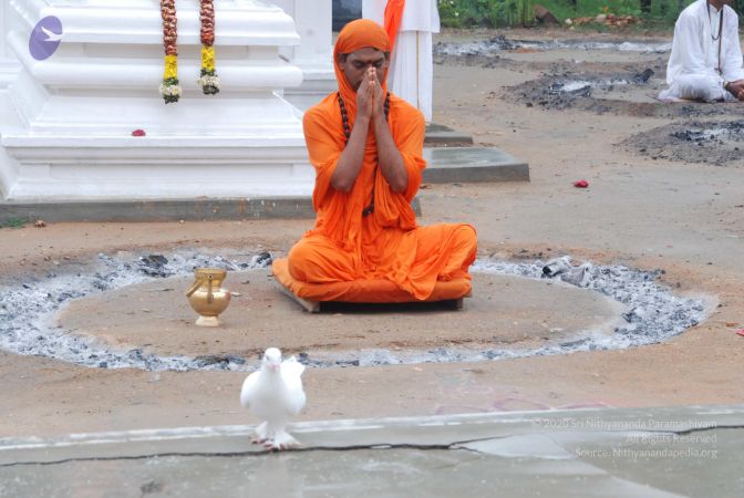 20100722 Photo 1104 1R52DLcfi6gKZ6TWNZBhhCf3BZG3gnedd.JPG