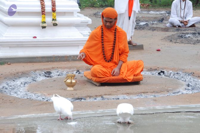 20100722 Photo 1113 1ey8yoAmhv3GbhM6fQ-E-UrThie9 XAd-.JPG